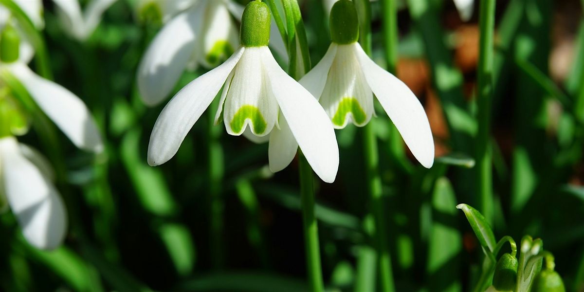 Bereavement Drop-In November 2025