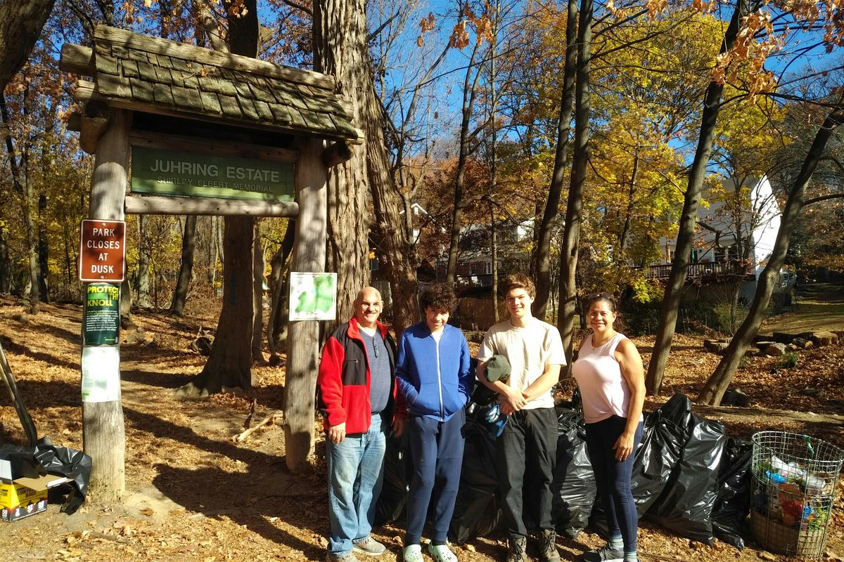 Sunday 11\/16 Volunteer Invasive Bush Removal - Dobbs Ferry Juhring Preserve