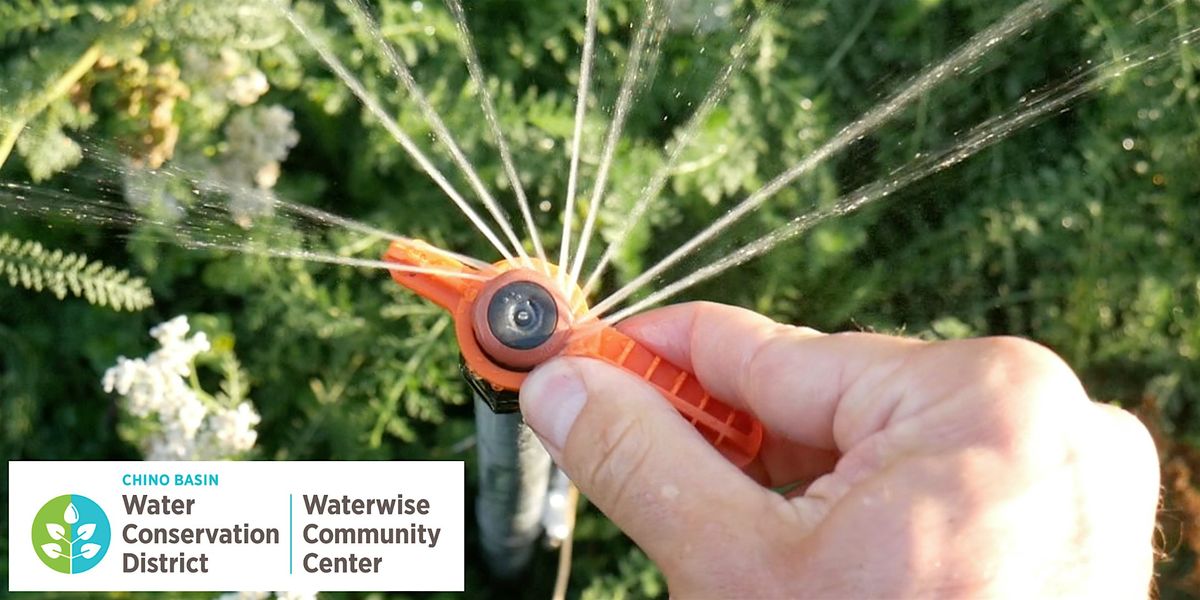 Home Irrigation Essentials: Efficient Watering for Any Home Landscape