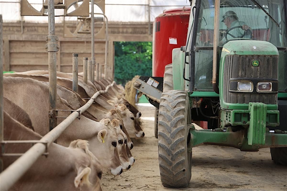 Cows, Cheese, and Tractors!