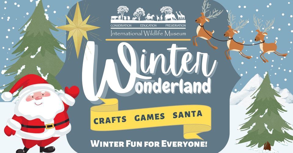 Winter Wonderland | International Wildlife Museum, Tucson, AZ ...