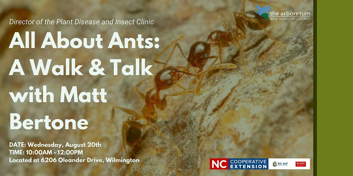 All About Ants: A Walk & Talk with Matt Bertone