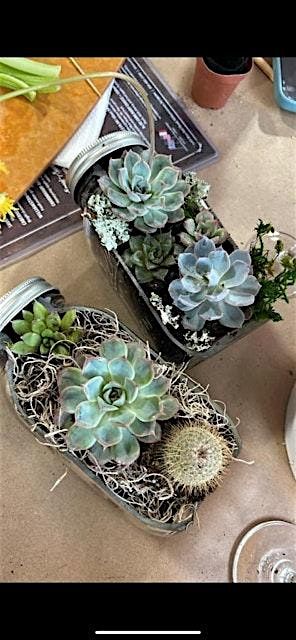 Plant and Sip at DiMatteo Winery