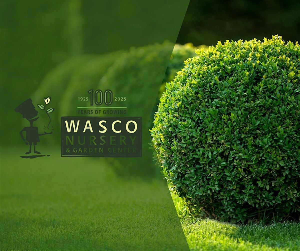 Garden With Confidence - A Beginner's Guide for New Homeowners