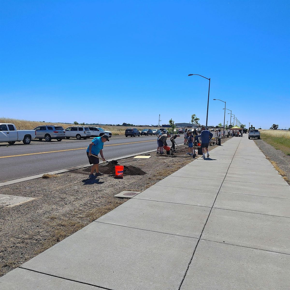Rio Vista Tree Planting at Airport Road