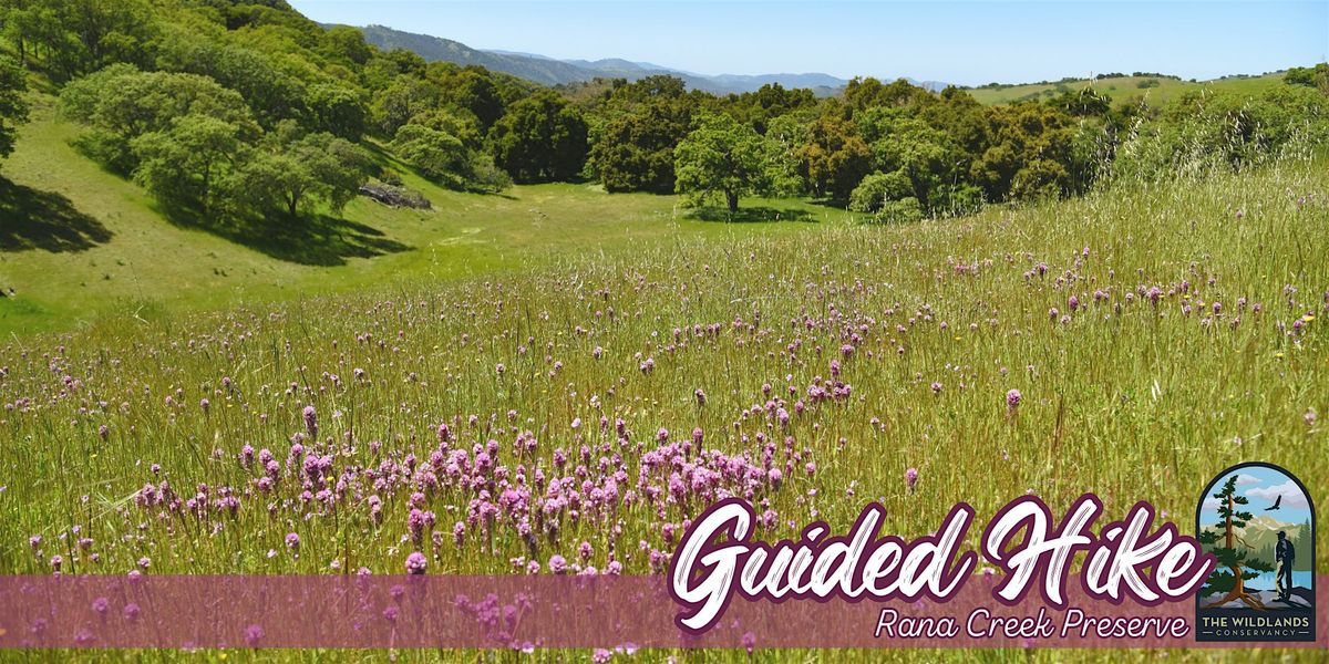 Wildflower Guided Hike - Rana Creek Preserve