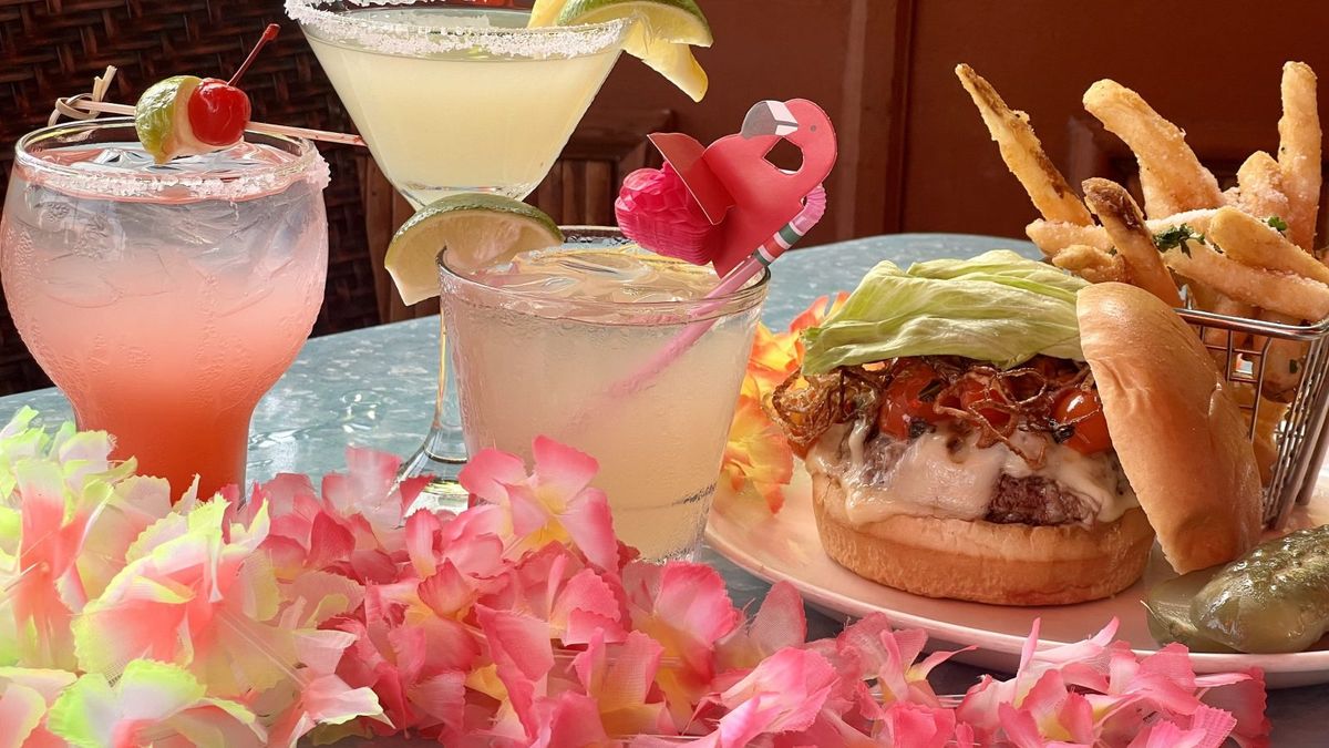 Parking Adventures in Parrotdise: Jimmy Buffett Tribute