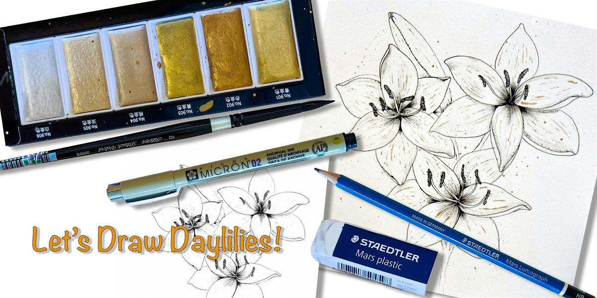 Let's Draw! Daylilies using pencil and ink