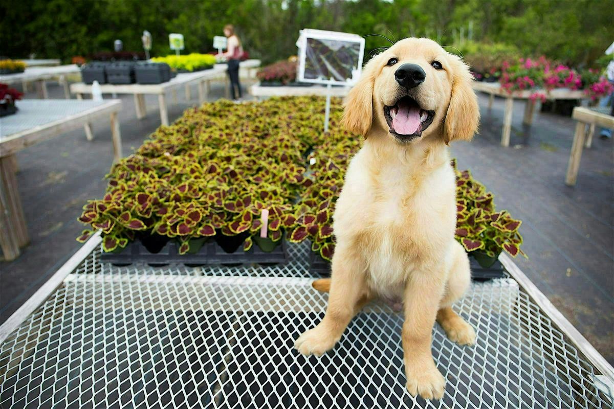 3-14-2026 Pets & Plants