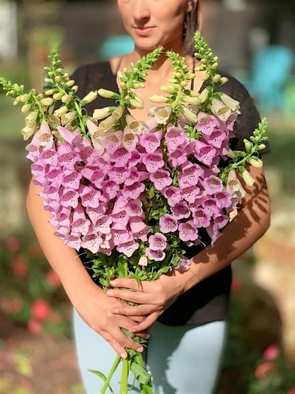 How to Grow Cool Season Flowers in Central Florida
