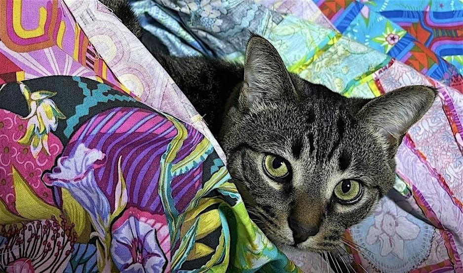Quilt Club at the Library: Ultimate Beginner Quilt-Along