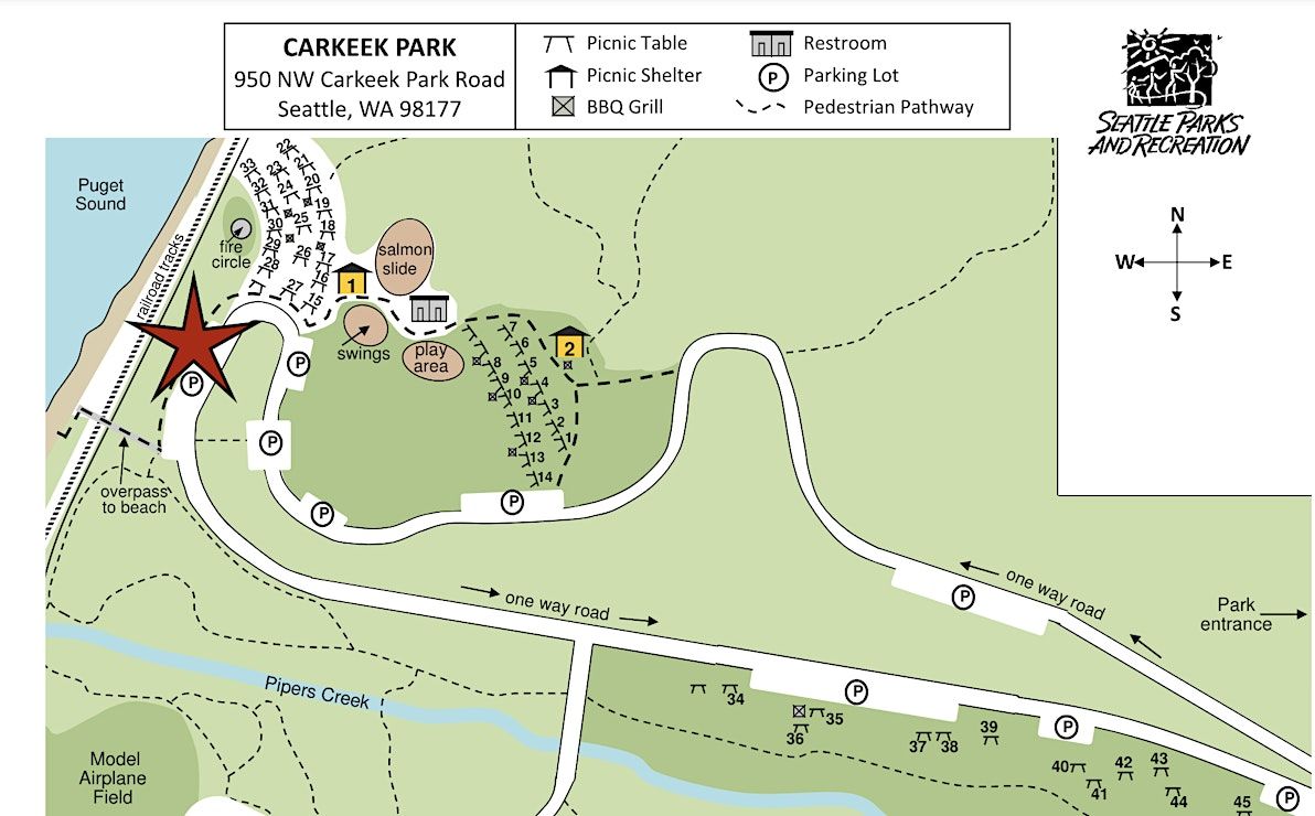 December Bird Outing at Carkeek Park Parking Carkeek Park Beach