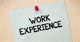 Year 10 Parental Work Experience Launch (2nd event)