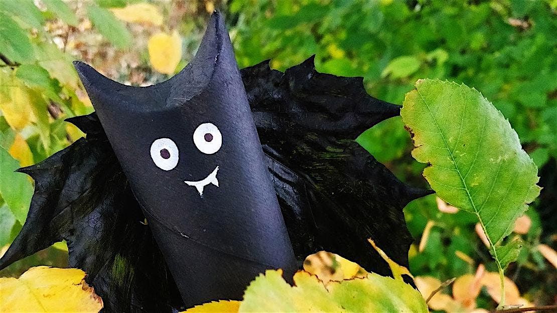 Wildlife Watch - Bats & Bones @ Duthie Park