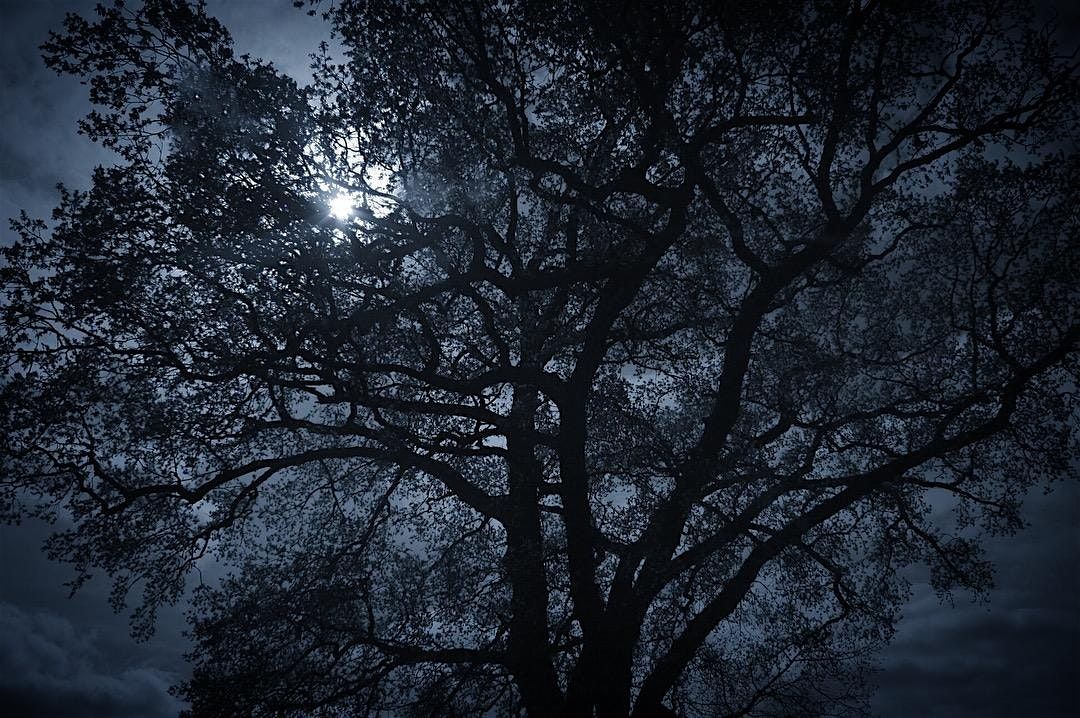 NWT Sweet Briar Marshes: Winter stargazing