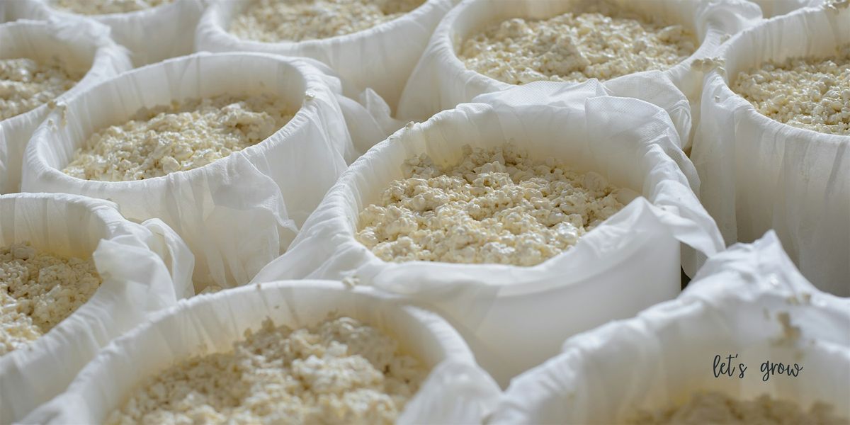 Cheese Making Workshop