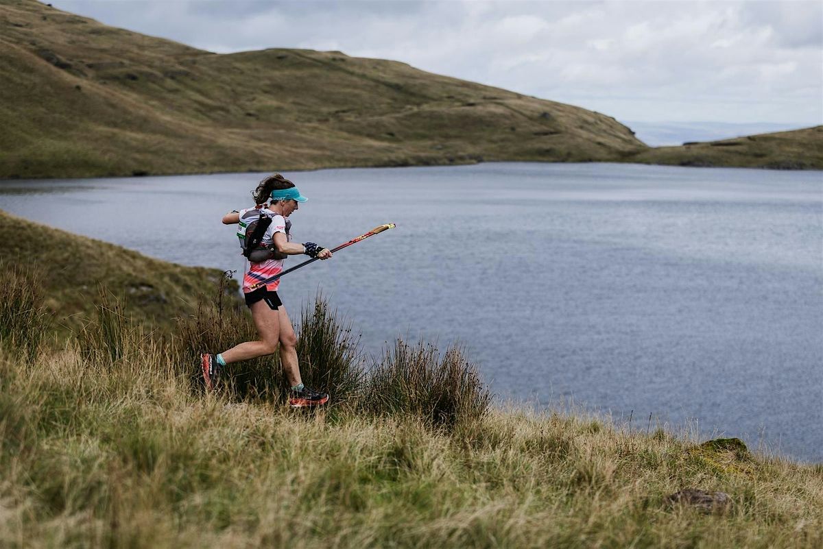 How to Tame The Dragon