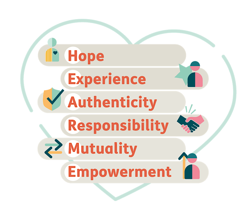 Peer Network - Strengthening