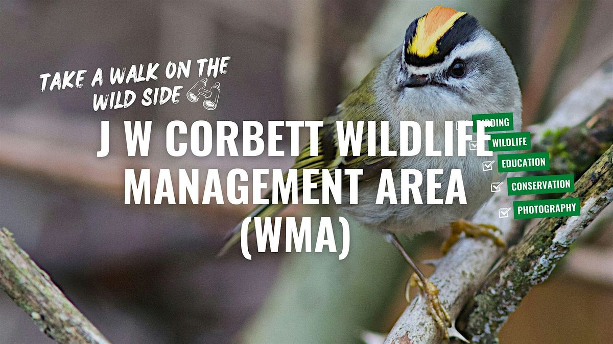 Take a Walk on the Wild Side at J W Corbett Wildlife Management Area