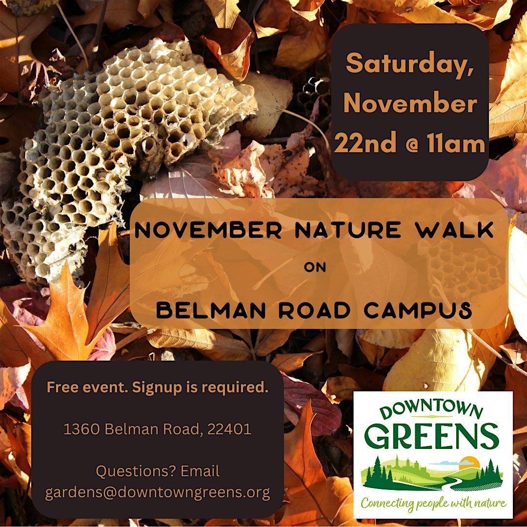 November Nature Walk