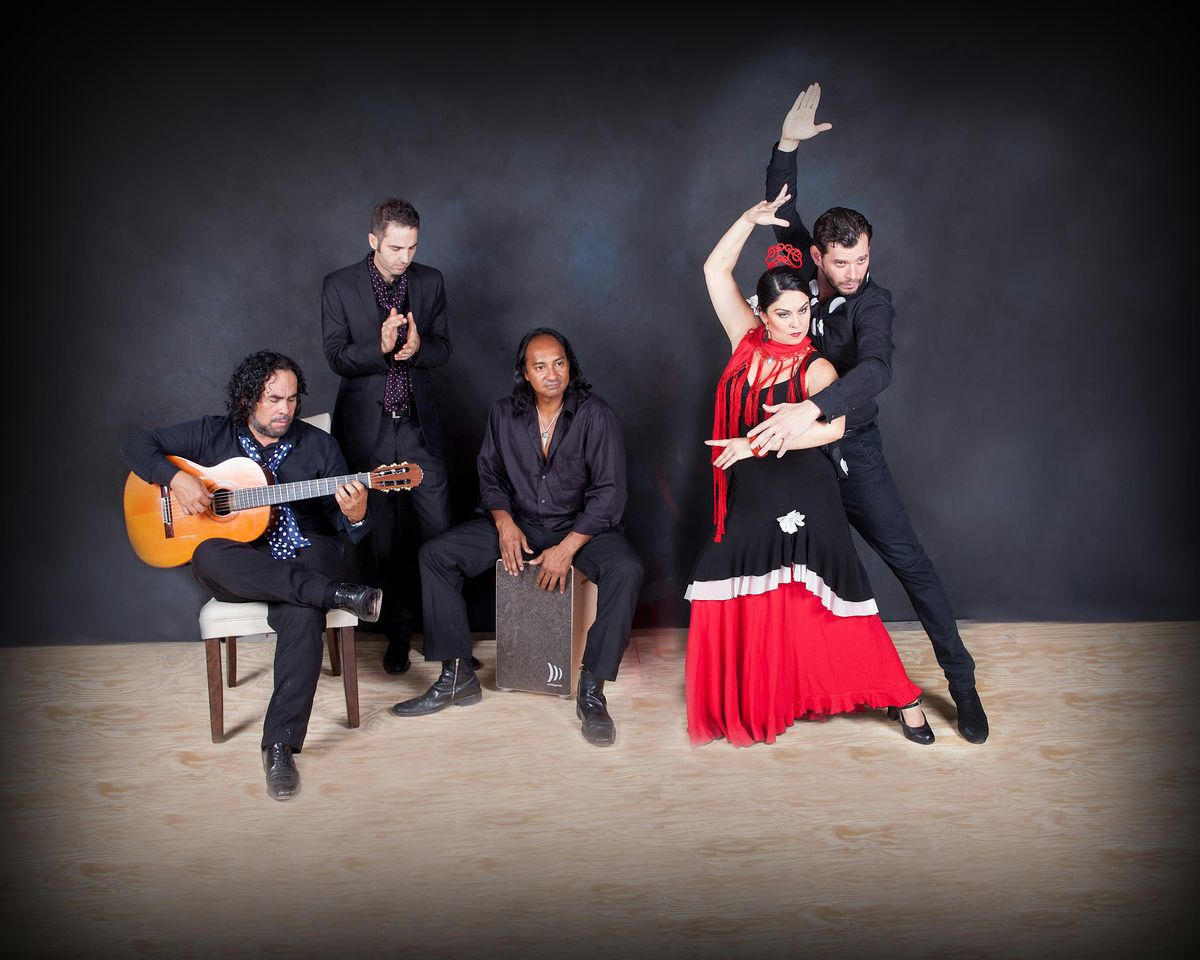 Intermediate Flamenco 201