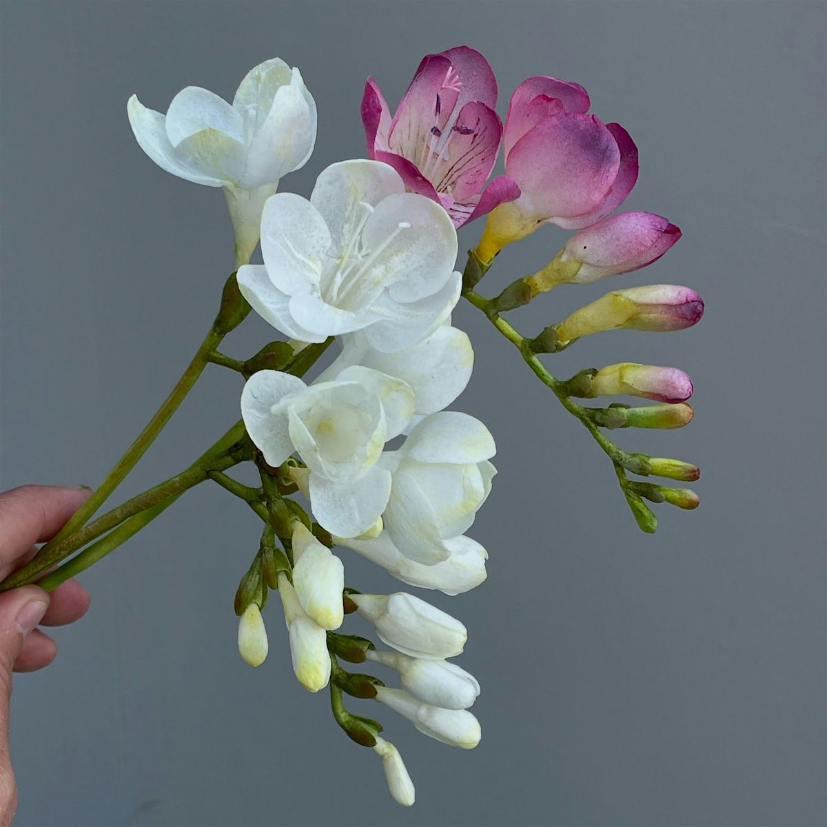 Wafer Paper Flowers Masterclass London