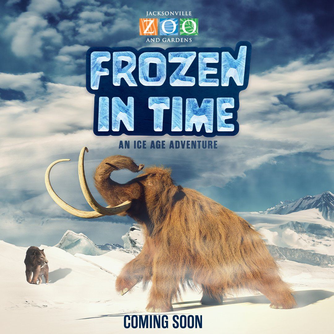Frozen In Time Festival at Strummers