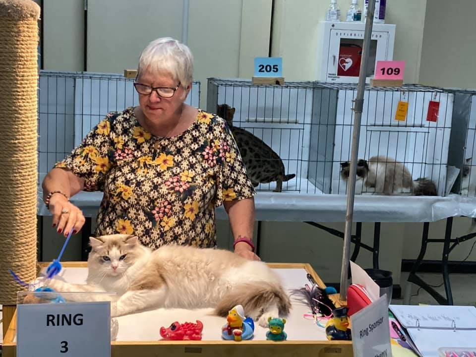 2022 TICA Cat Show Huntsville Huntsville JAYCEE's building June 25