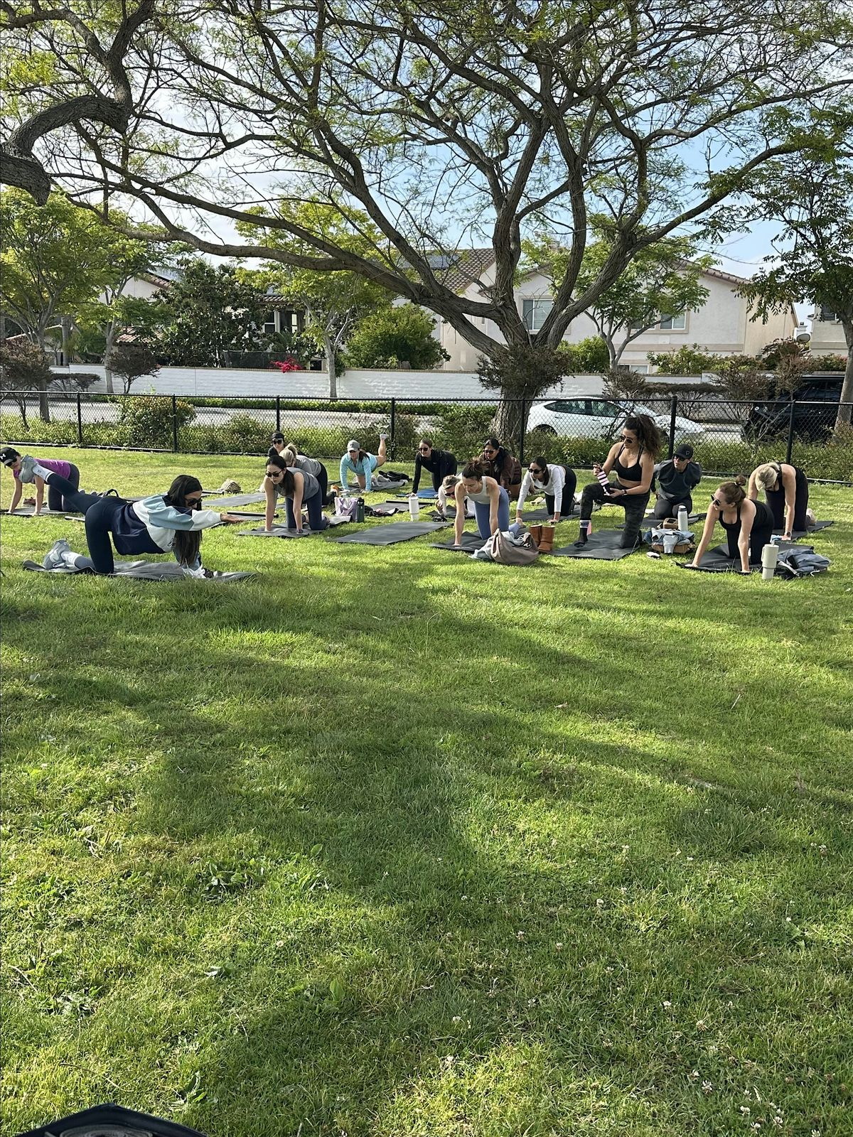 JETSET on the Mat (FREE)