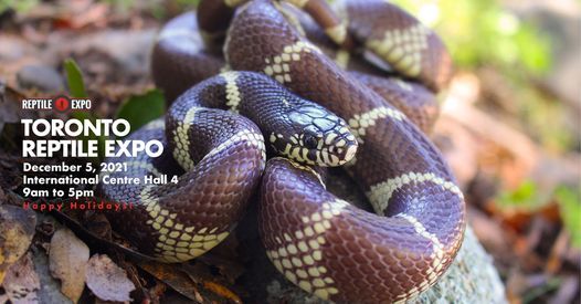 Toronto Reptile Expo