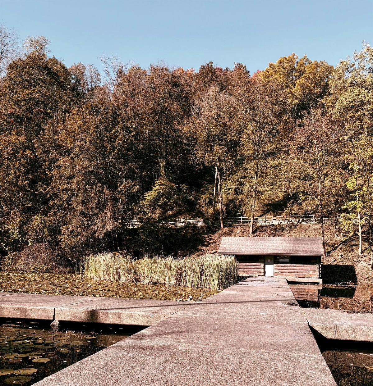 Highland Park Fall Hike Series