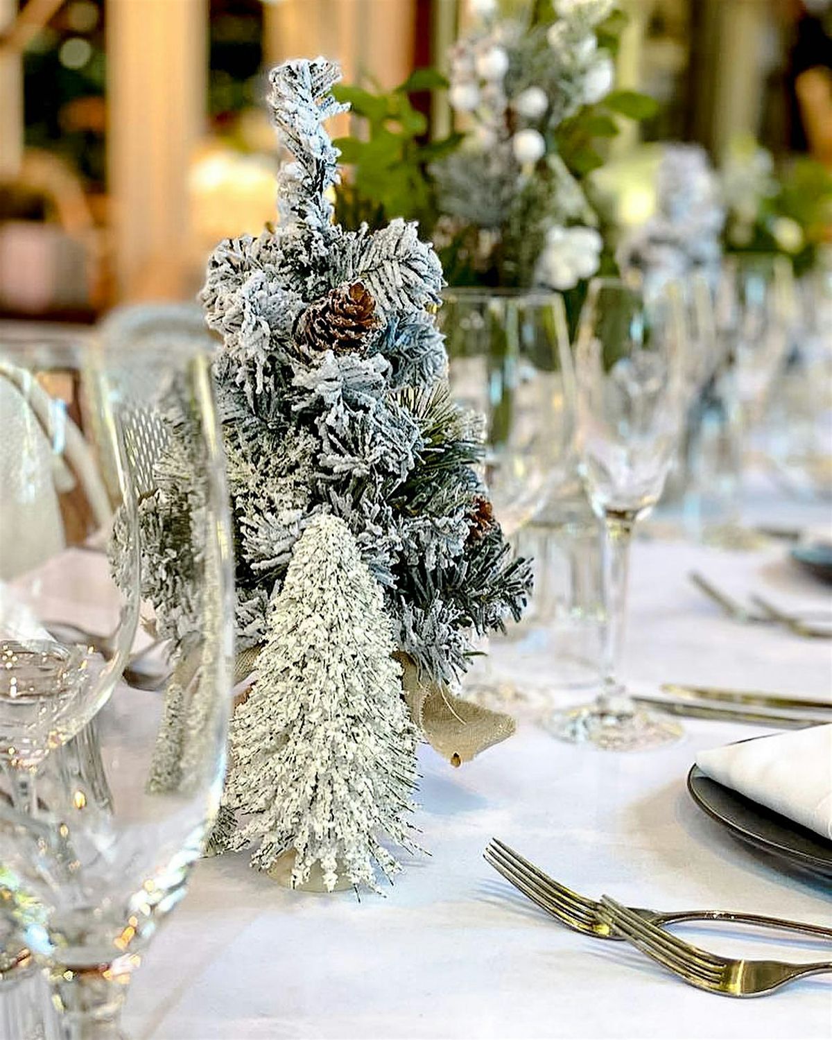 Christmas @ Greendays