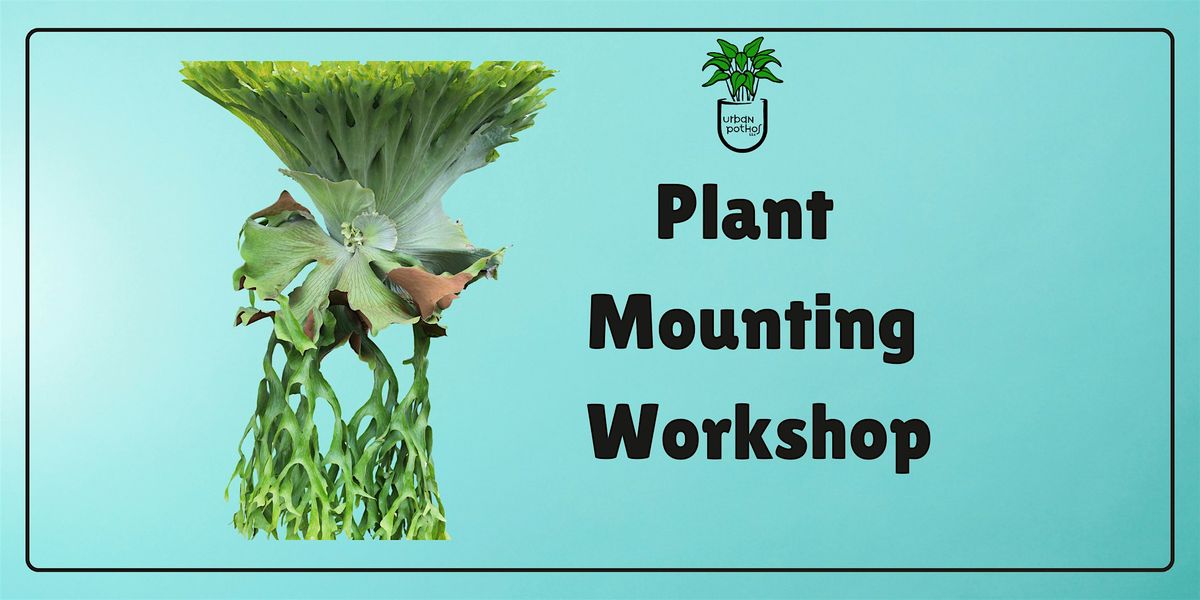 Plant Mounting Workshop
