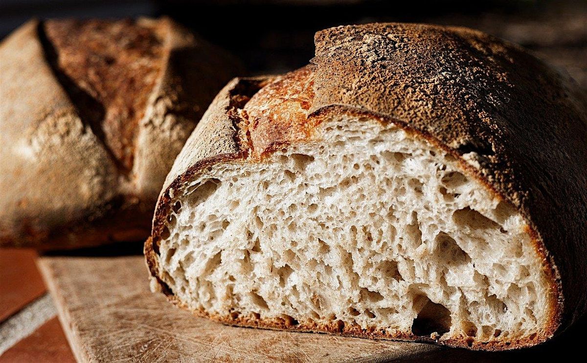 Sourdough 101
