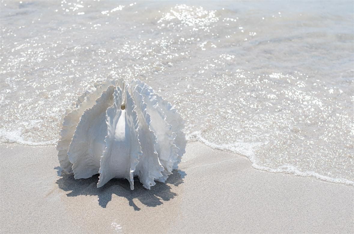 Beach and Botanicals: Exhibition opening night