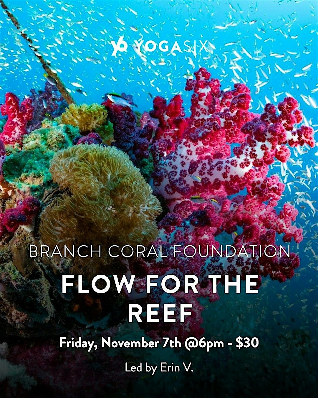 Flow For The Reef with YogaSix North McKinney