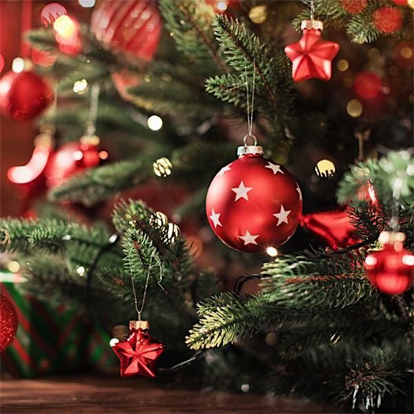 Christmas with Tralea Lens Photography