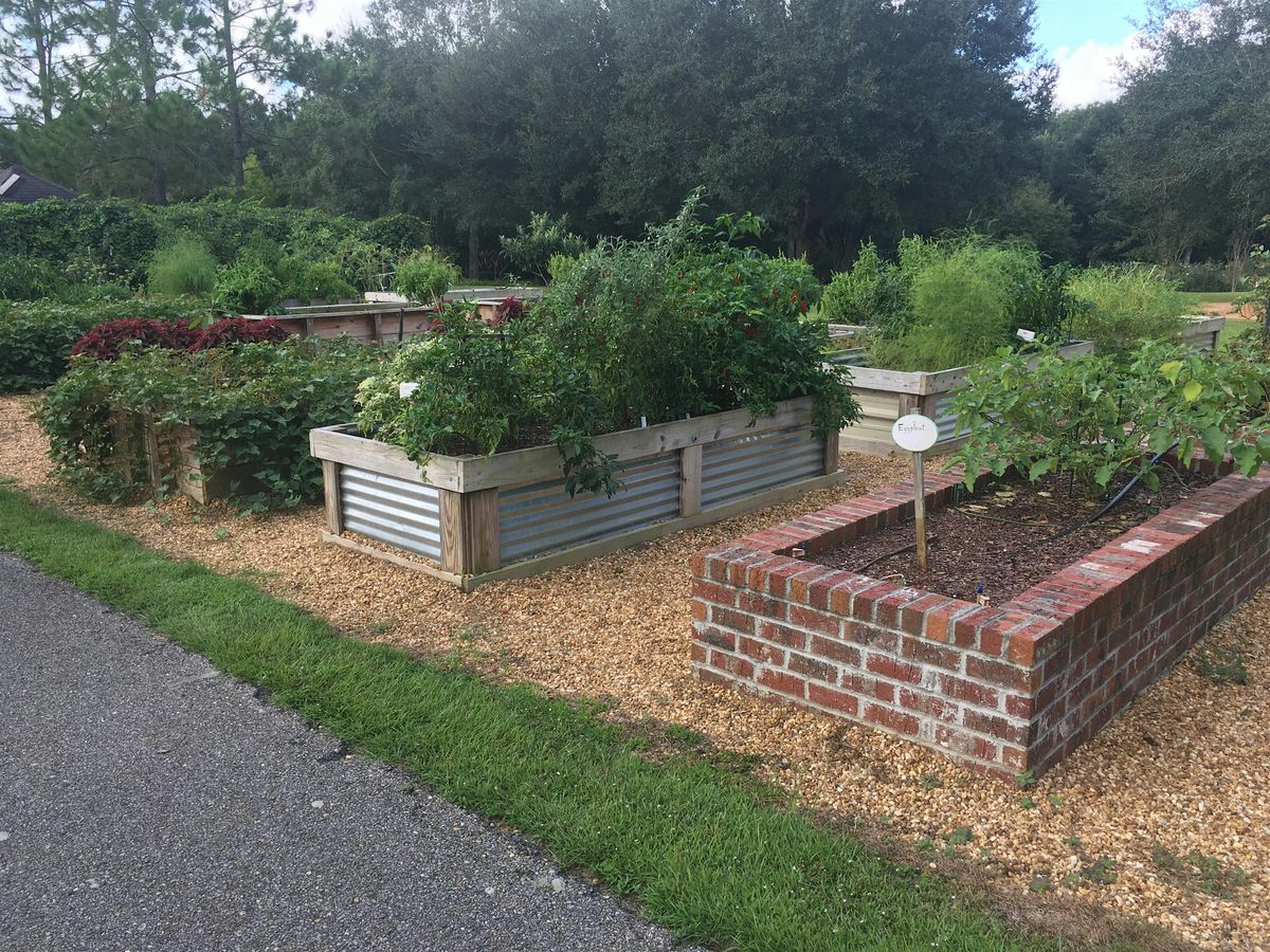 12-3-2025  How To Build A Raised Bed Garden