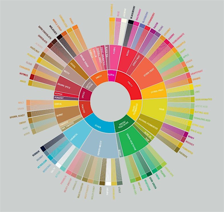 Tasting Notes Workshop (Bristol)