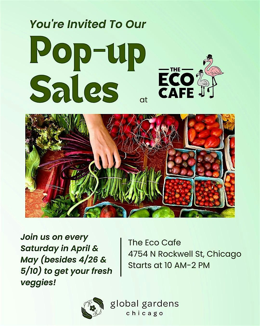 Pop-up Market at Eco-Flamingo