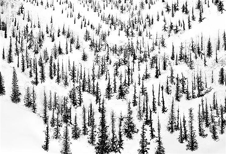 One-stop christmas shop drinks party