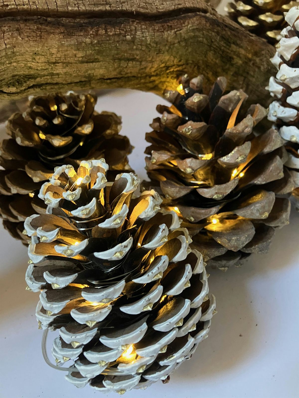 Illuminated Pinecone workshop