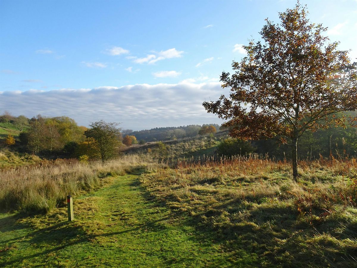 Snipe Dales and the surrounding reserves with James Forrester