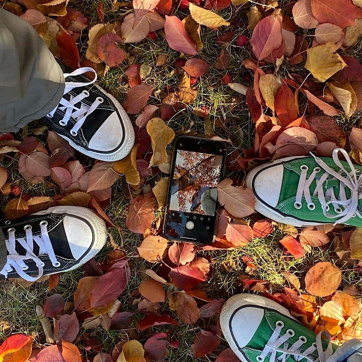 Fall Favorites Playlist Night