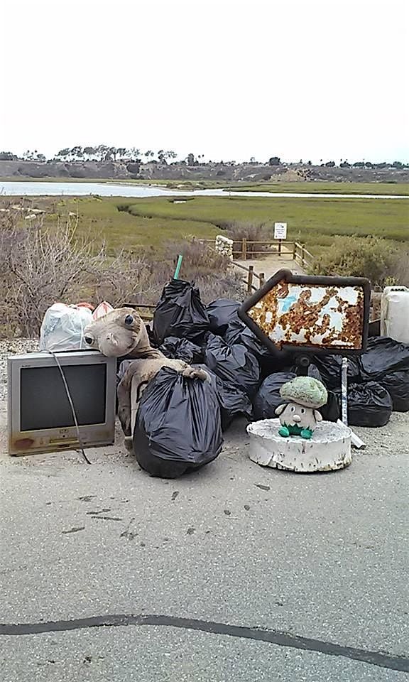 Coastal Cleanup Day at Upper Newport Bay