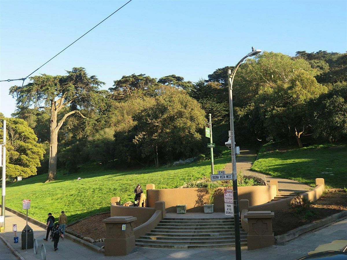 Civic Joy Corps Parks Volunteering @ Buena Vista Park