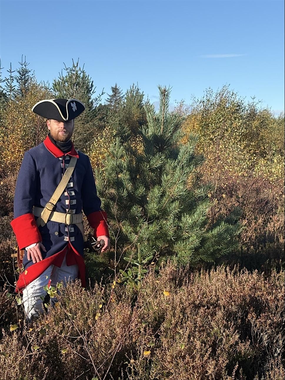 Choose Your Own Culloden Christmas Tree