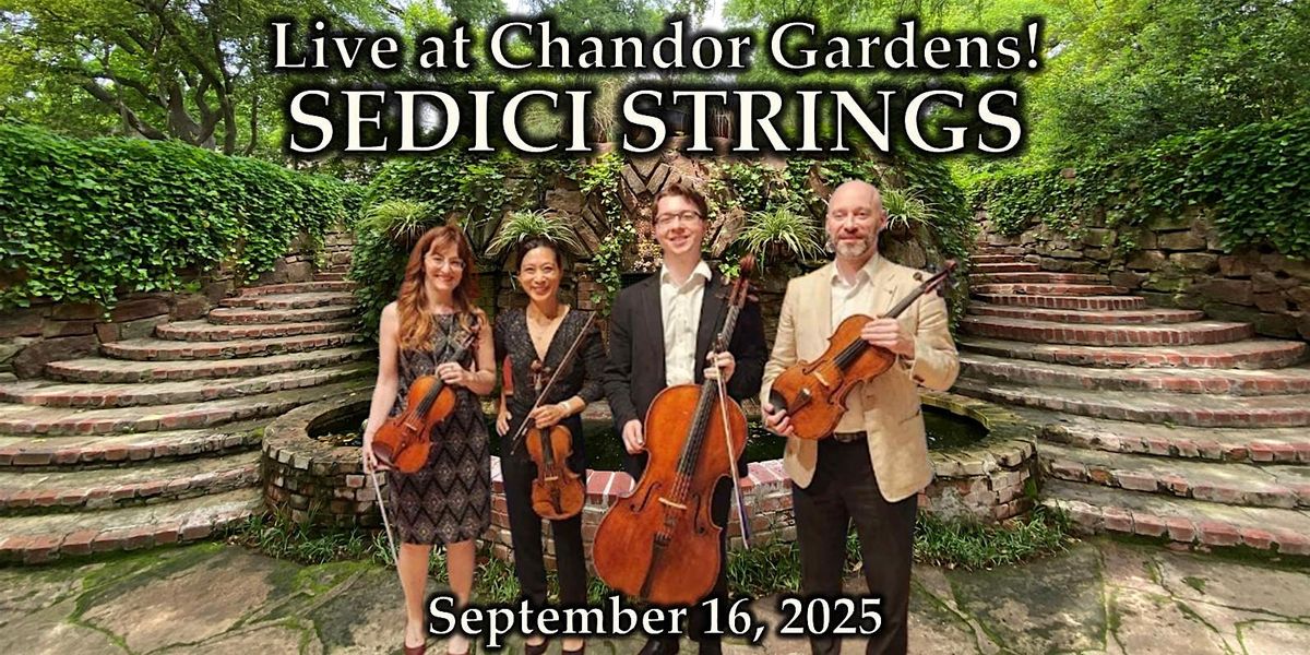 Sidici Strings - Live at Chandor Gardens!