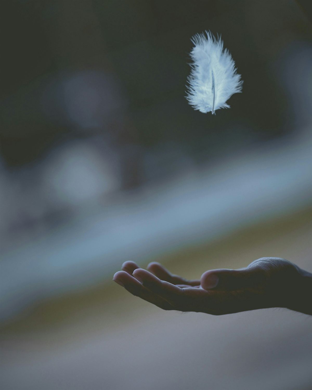 Prairie Unitarian Universalist Church Service