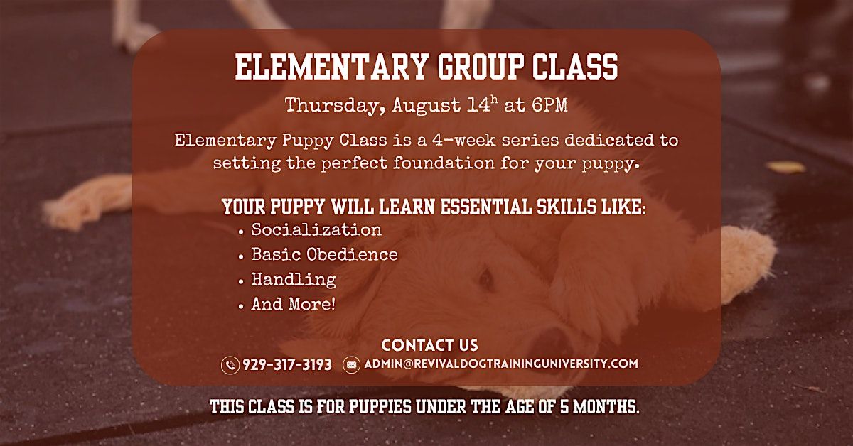 Elementary (Puppy) Group Class